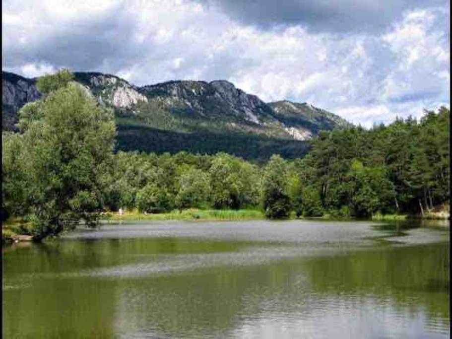 Greolieres: Superbe Studio Avec Vue Montagne Εξωτερικό φωτογραφία